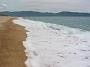 0006 Olmeto plage